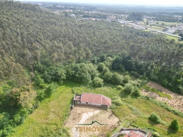Terreno Agricola ou Rústico para Venda em Pinheiro da Bemposta, Travanca e Palmaz