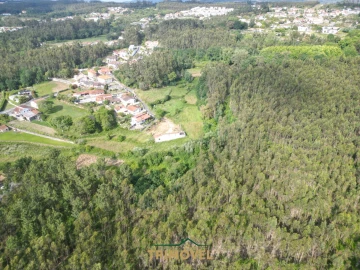Terreno Agricola ou Rústico para Venda em Pinheiro da Bemposta, Travanca e Palmaz