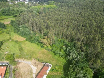 Terreno Agricola ou Rústico para Venda em Pinheiro da Bemposta, Travanca e Palmaz