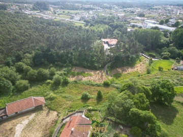 Terreno Agricola ou Rústico para Venda em Pinheiro da Bemposta, Travanca e Palmaz