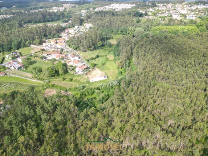 Terreno Agricola ou Rústico para Venda em Pinheiro da Bemposta, Travanca e Palmaz Foto 5