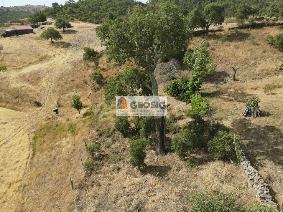 Moradia T4 para Venda em São Barnabe Foto 43