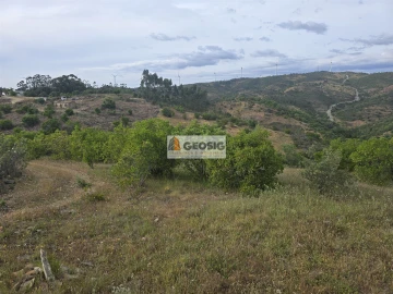 Moradia T4 para Venda em São Barnabe