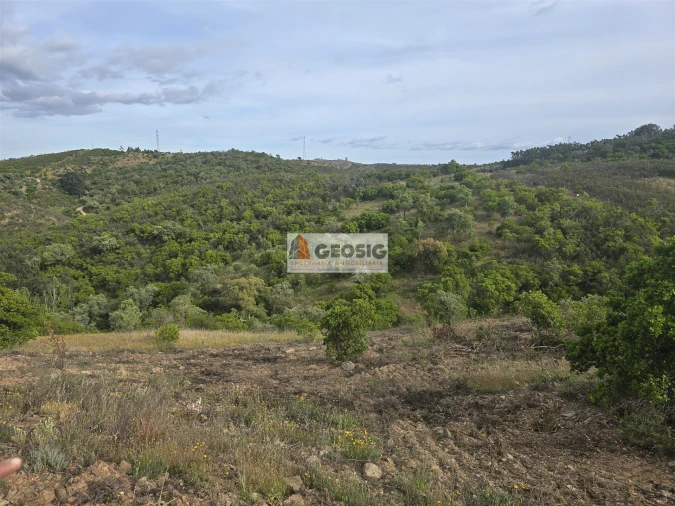 Moradia T4 para Venda em São Barnabe Foto 43