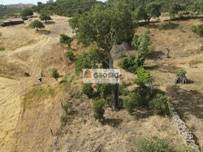 Moradia T4 para Venda em São Barnabe Foto 43