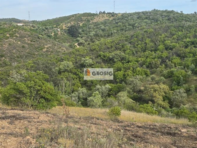Moradia T4 para Venda em São Barnabe Foto 44