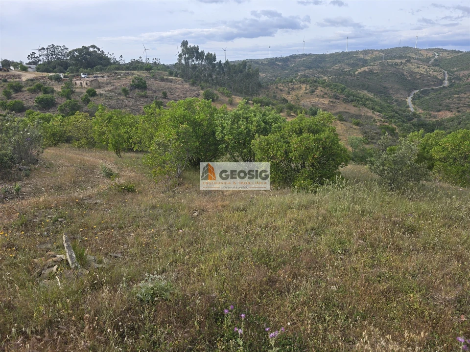Moradia T4 para Venda em São Barnabe Foto 40