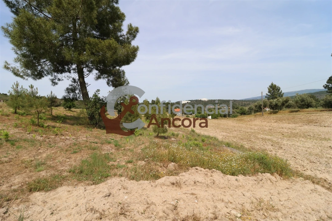 Quinta T0 para Venda em Vila Franca da Serra Foto 51