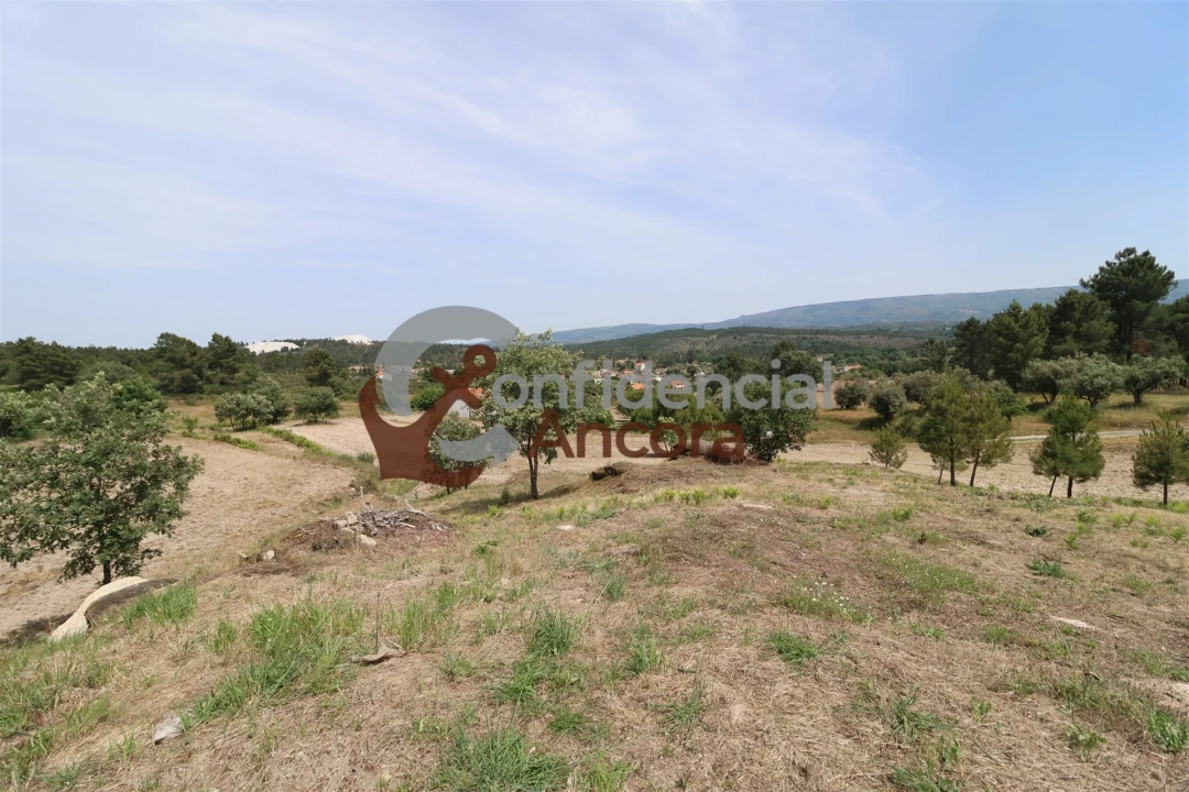 Quinta T0 para Venda em Vila Franca da Serra Foto 34