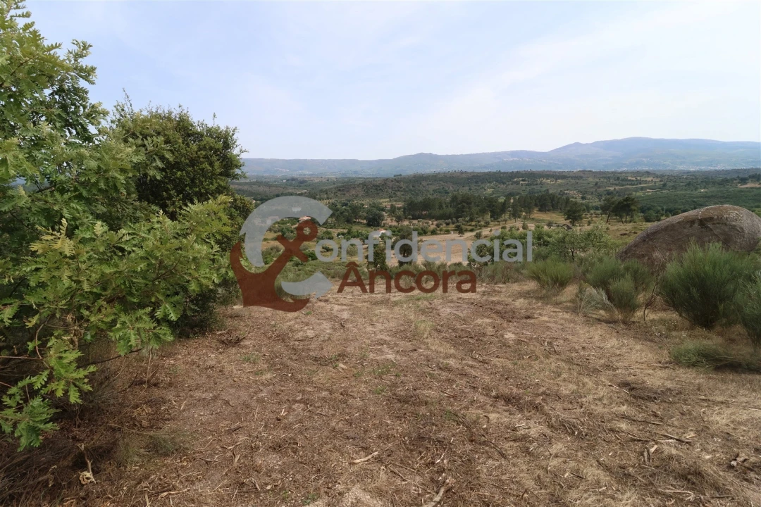 Quinta T0 para Venda em Vila Franca da Serra Foto 47