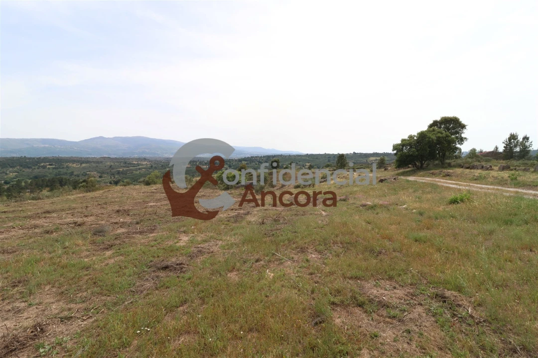 Quinta T0 para Venda em Vila Franca da Serra Foto 45