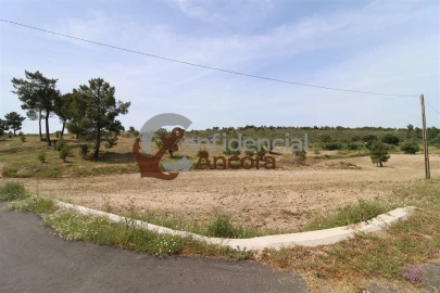 Quinta T0 para Venda em Vila Franca da Serra