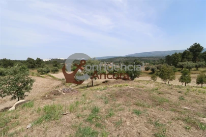 Quinta T0 para Venda em Vila Franca da Serra