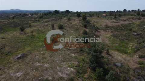 Quinta T0 para Venda em Vila Franca da Serra