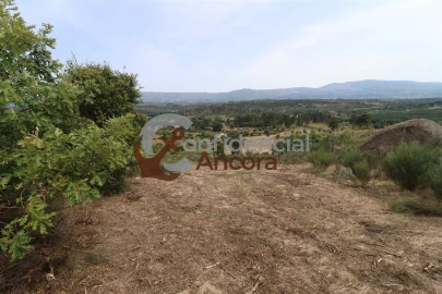 Quinta T0 para Venda em Vila Franca da Serra