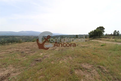 Quinta T0 para Venda em Vila Franca da Serra