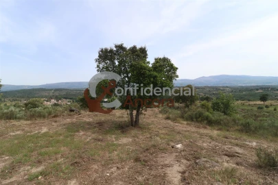Quinta T0 para Venda em Vila Franca da Serra