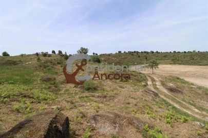 Quinta T0 para Venda em Vila Franca da Serra