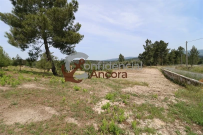 Quinta T0 para Venda em Vila Franca da Serra