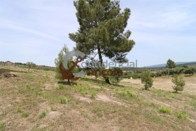 Quinta T0 para Venda em Vila Franca da Serra
