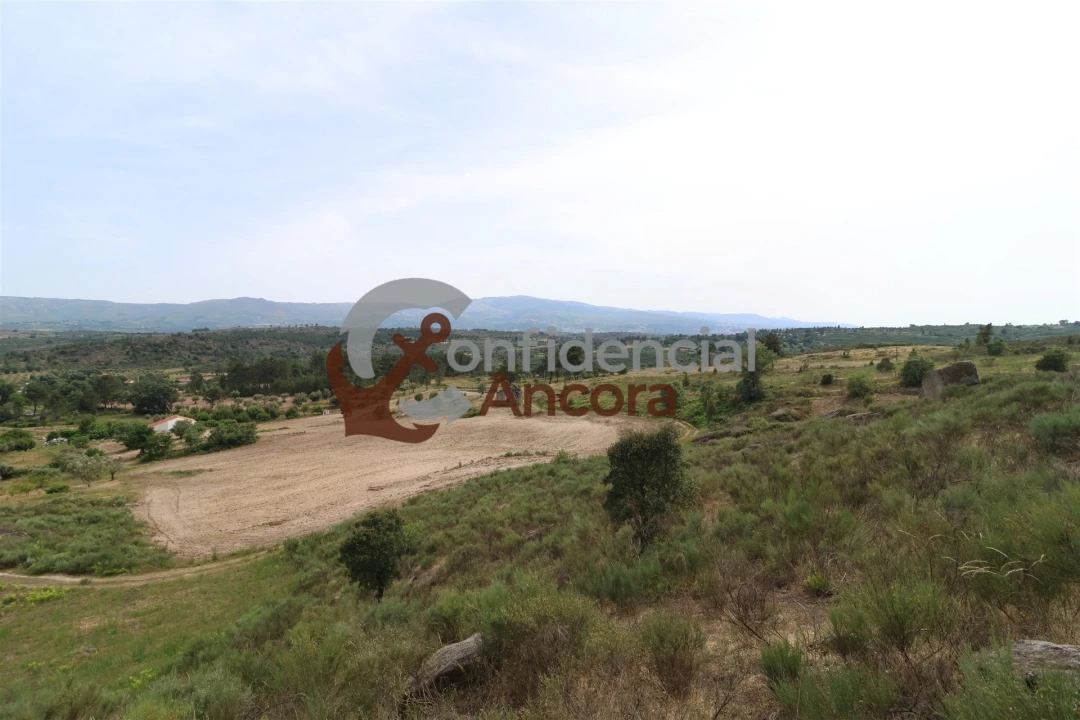 Quinta T0 para Venda em Vila Franca da Serra Foto 48