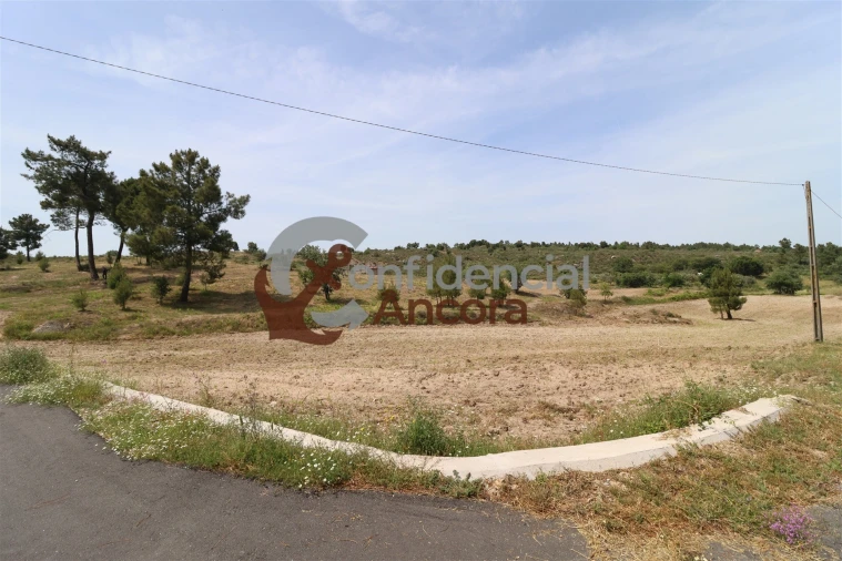 Quinta T0 para Venda em Vila Franca da Serra Foto 44