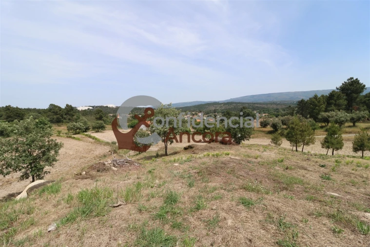 Quinta T0 para Venda em Vila Franca da Serra Foto 34