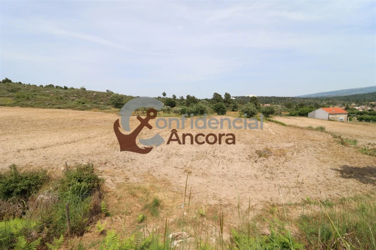 Quinta T0 para Venda em Vila Franca da Serra Foto 38