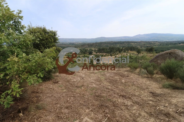 Quinta T0 para Venda em Vila Franca da Serra Foto 47