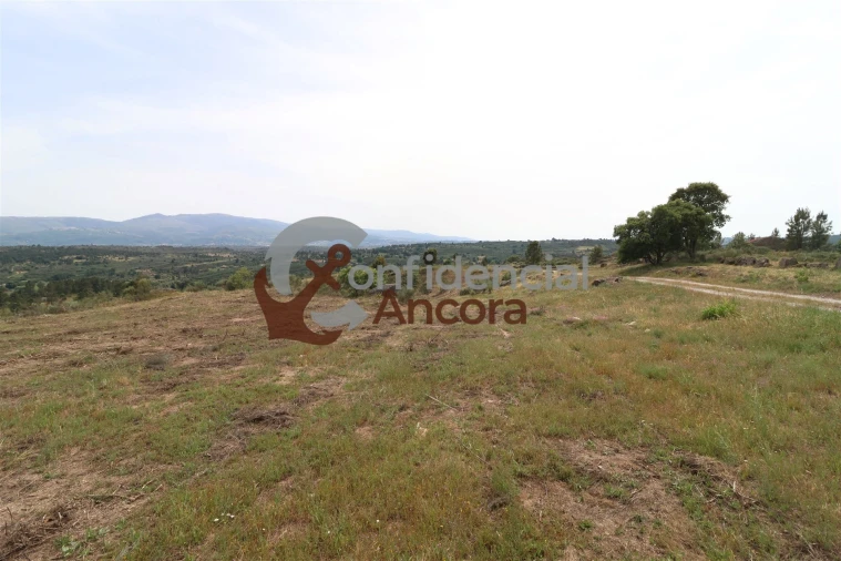 Quinta T0 para Venda em Vila Franca da Serra Foto 45