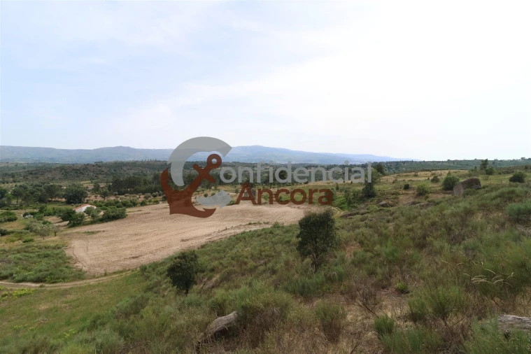 Quinta T0 para Venda em Vila Franca da Serra Foto 48