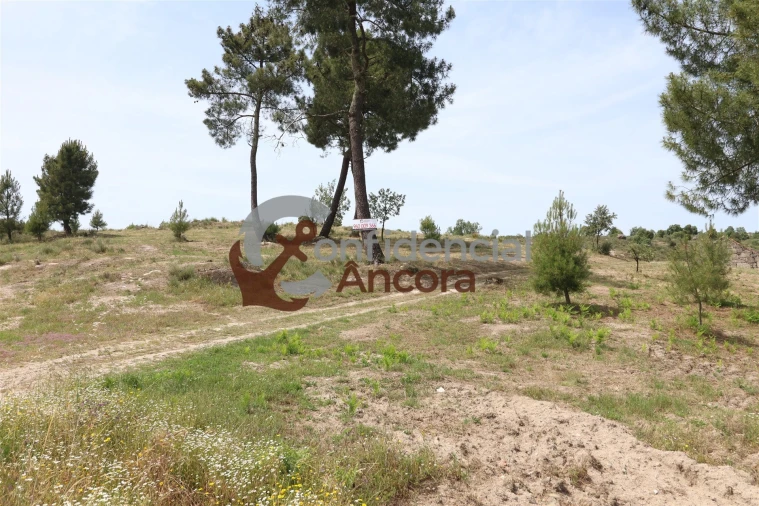 Quinta T0 para Venda em Vila Franca da Serra Foto 49