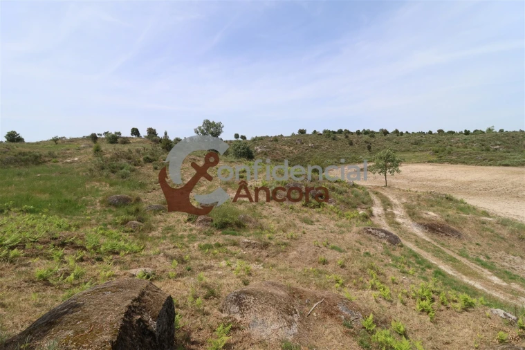 Quinta T0 para Venda em Vila Franca da Serra Foto 40