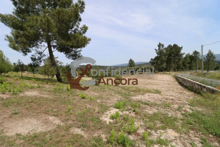 Quinta T0 para Venda em Vila Franca da Serra Foto 30