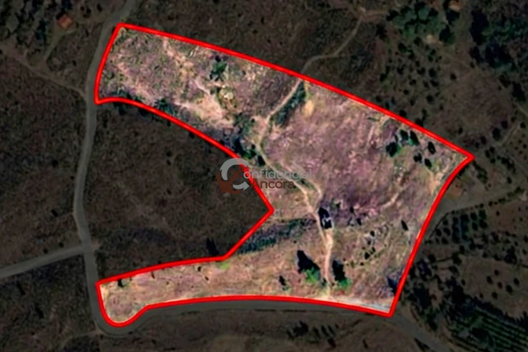 Quinta T0 para Venda em Vila Franca da Serra Foto 60