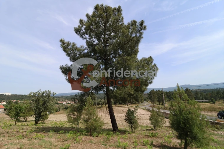 Quinta T0 para Venda em Vila Franca da Serra Foto 52