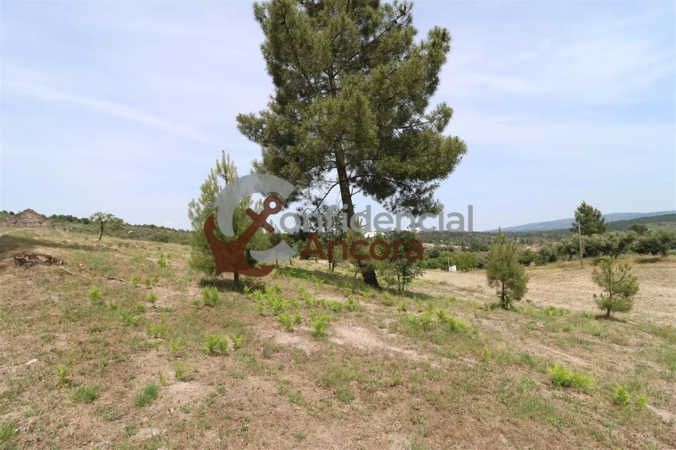 Quinta T0 para Venda em Vila Franca da Serra Foto 31