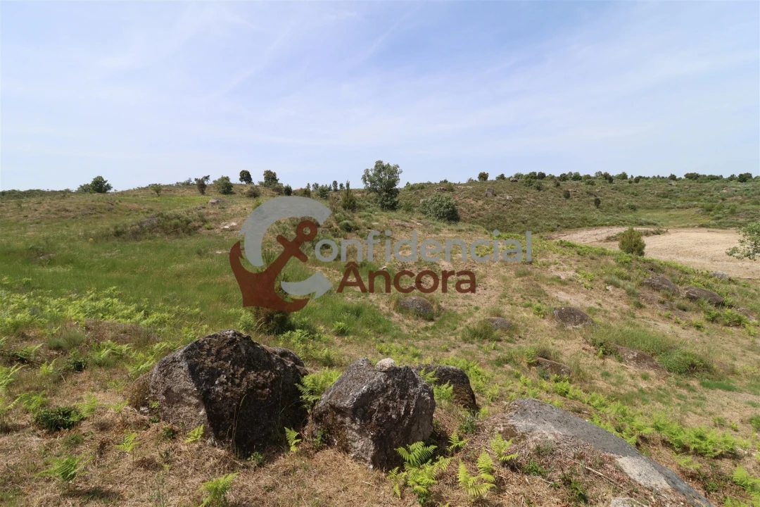 Quinta T0 para Venda em Vila Franca da Serra Foto 41