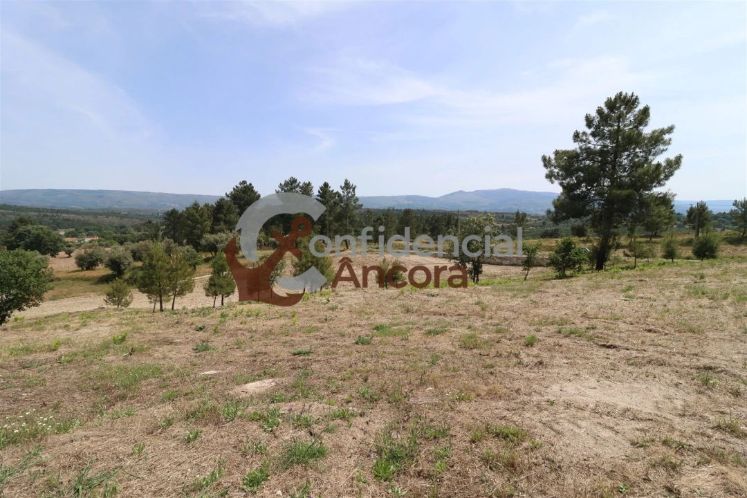 Quinta T0 para Venda em Vila Franca da Serra Foto 35