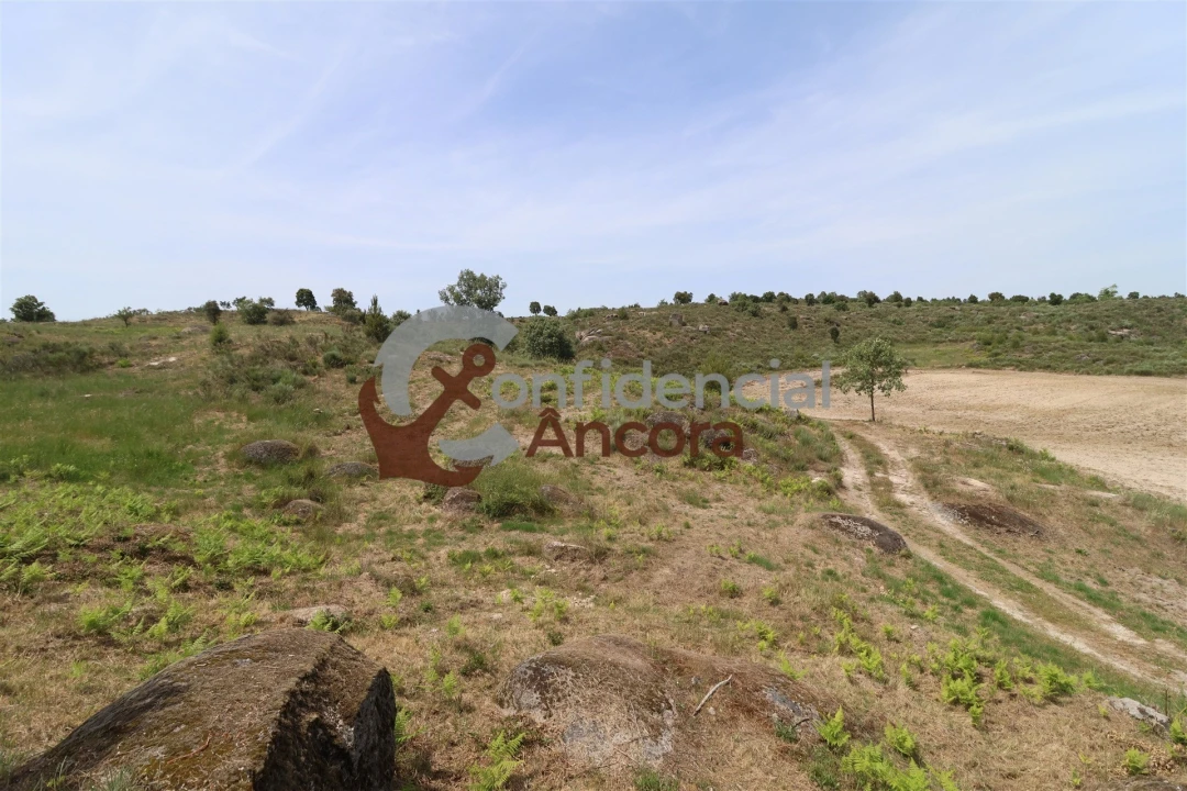 Quinta T0 para Venda em Vila Franca da Serra Foto 40
