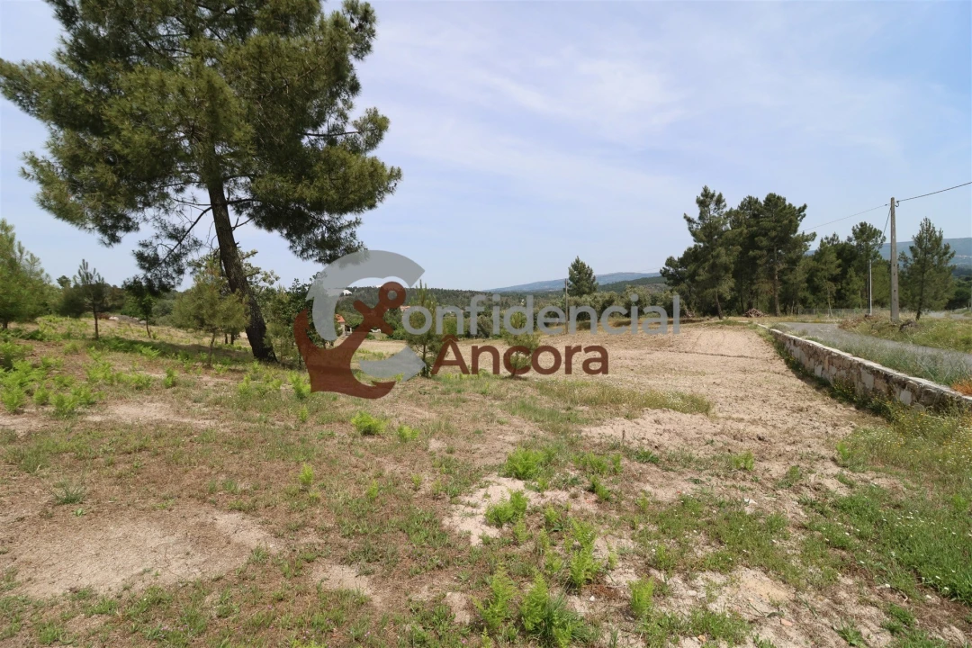 Quinta T0 para Venda em Vila Franca da Serra Foto 30