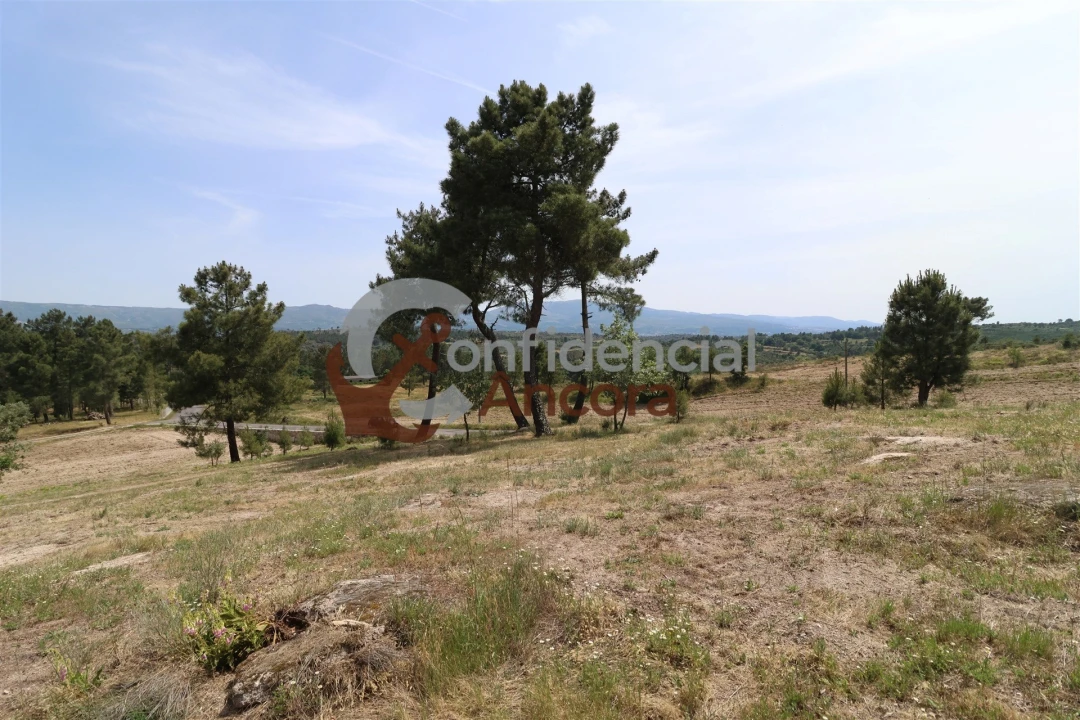 Quinta T0 para Venda em Vila Franca da Serra Foto 42