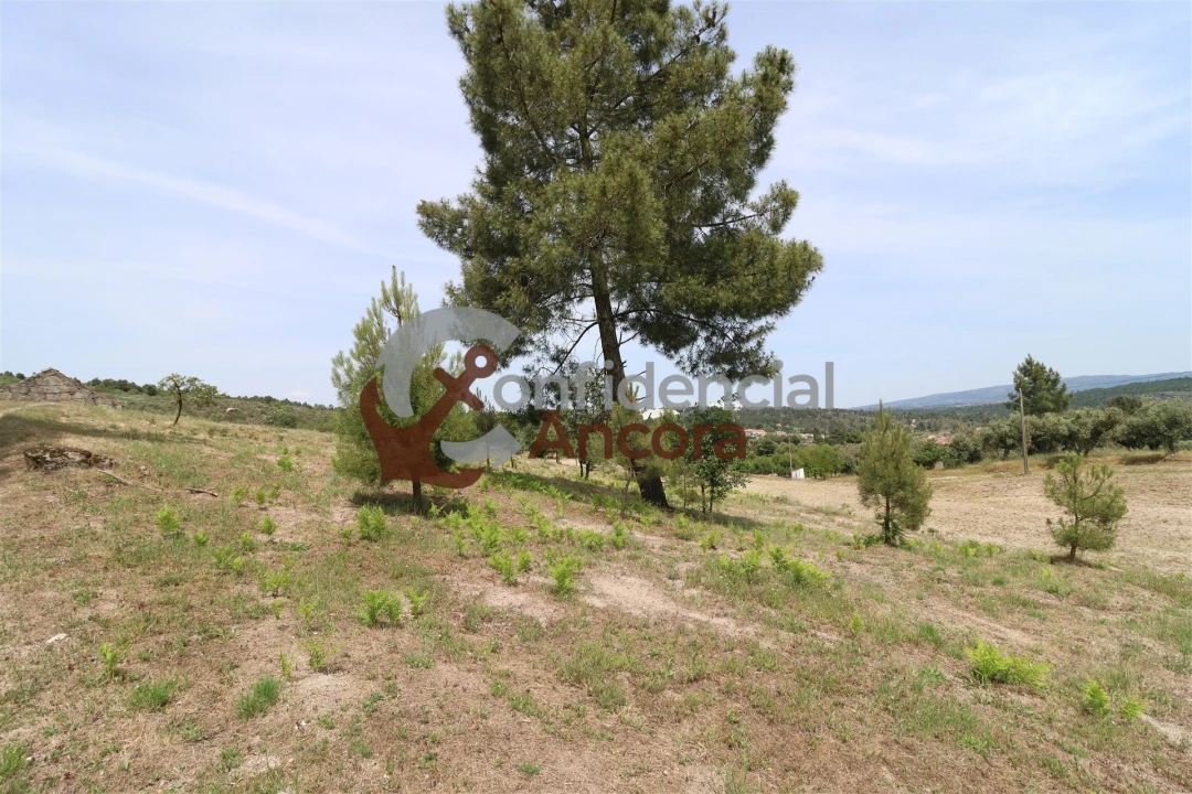 Quinta T0 para Venda em Vila Franca da Serra Foto 31
