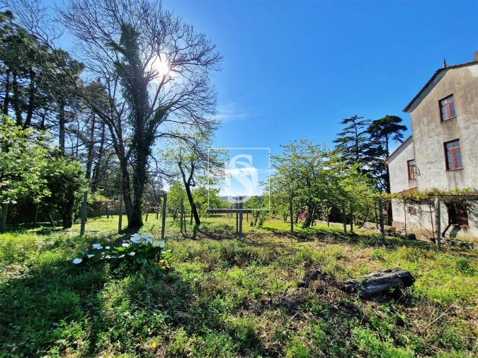 Quinta T6 para Venda em Touguinha e Touguinhó Foto 4