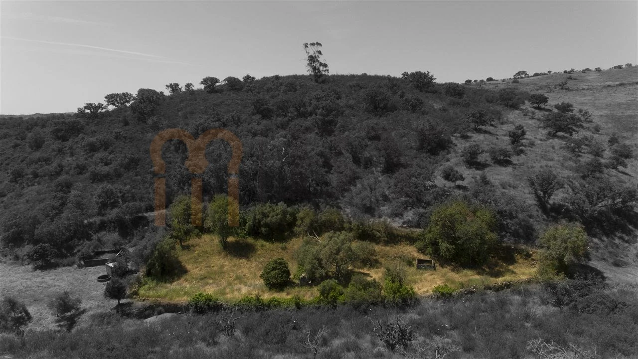 Moradia para Venda em Martim Longo Foto 21