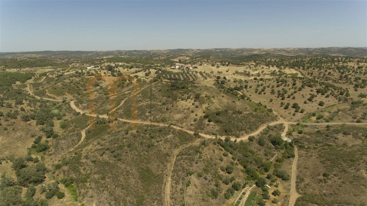 Moradia para Venda em Martim Longo Foto 22