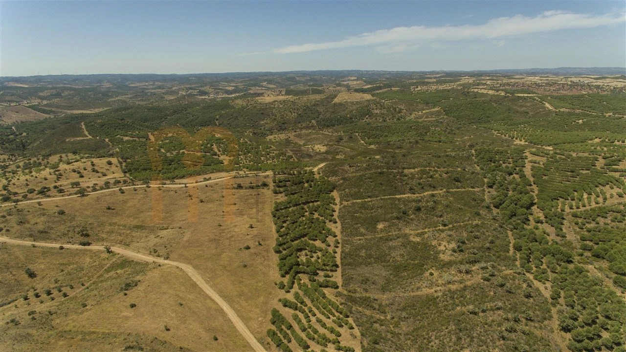 Moradia para Venda em Martim Longo Foto 23