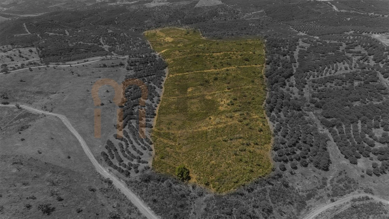Moradia para Venda em Martim Longo Foto 24