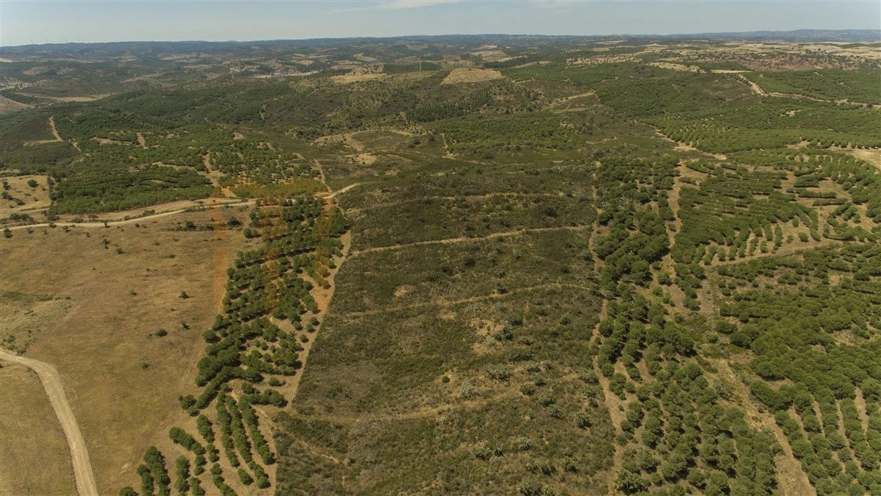 Moradia para Venda em Martim Longo Foto 25