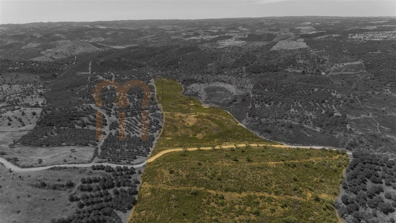 Moradia para Venda em Martim Longo Foto 27
